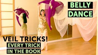 From quotBir Demet  A Classic Belly Dance Veil Choreographyquot  INSTANT VIDEO at WorldDanceNewYorkcom [upl. by Netsirt]