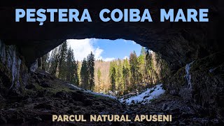 Peștera Coiba Mare Parcul Natural Apuseni [upl. by Ihteerp]