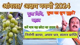 अक्षय नवमी 2024 में कब है Akshay Navami 2024 mein Kab Hai Amla navami kab hai आंवला नवमी कब है 2024 [upl. by Giacobo272]