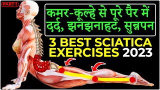 3 Best SCIATICA Pain Relief Exercises  Back Pain 2023 [upl. by Mosby390]