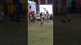 Danuchi Nauch Utsav Dance at Festival 🎎🎎🎎🎎🎎 Celebration Dance competition live [upl. by Lrac]