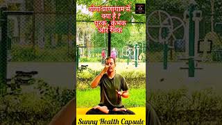 Correct way of doing Anulom Vilom Pranayam  Anulom Vilom Pranayama anulom pranayama [upl. by Nevyar]