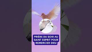 Prière du SOIR au SAINT ESPRIT ✨ POUR REMERCIER DIEU shorts [upl. by Friedberg]