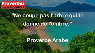 Ne coupe pas larbre qui te donne de lombre  Proverbe Arabe [upl. by Duile]