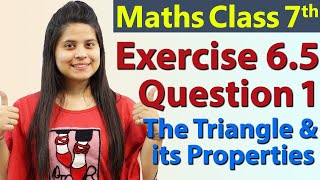 Q 1 Ex 65  The Triangle and its Properties  Chapter 6  Maths Class 7th  NCERT [upl. by Grey992]