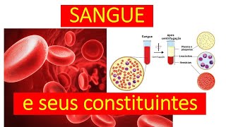 Aprenda tudo sobre o sangue e seus constituintes [upl. by Alyt]