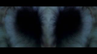 PHENOMENES PARANORMAUX  Bandeannonce  VF [upl. by Halian]