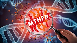 3 Decoding MTHFR  Understanding the Gene Polymorphism that Affects Us All [upl. by Esir]