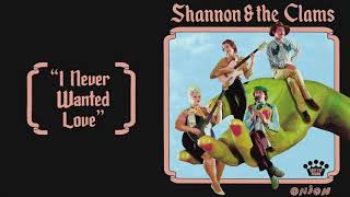 Shannon amp the Clams  I Never Wanted Love Official Audio [upl. by Lemmor]