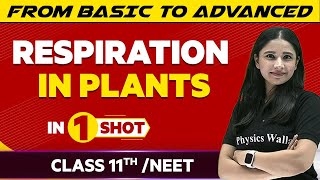 Respiration in Plants in One Shot  NEETClass 11th Boards  Victory Batch [upl. by Knut908]