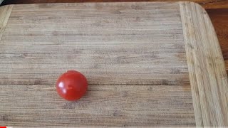 Tomaten nach dem Mondkalender selber erfolgreich ziehen Samen Ausaat super easy [upl. by Adnih]