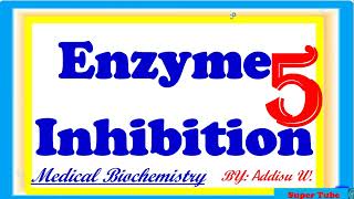 5enzyme inhibitors Competitive noncompetitive uncompetitive amp irreversible inhibition [upl. by Roye]