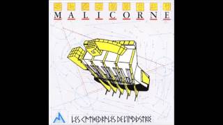 Malicorne Les Cathédrales de lIndustrie full album [upl. by Leirud]