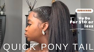 Quick amp Easy Ponytails Using Beauty Supply Store Hair [upl. by Dinin]