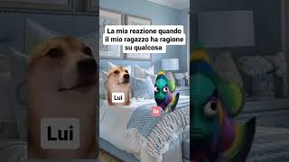 IO relazioni catmeme ioete fidanzata memes [upl. by Aisa]