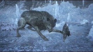 DARK SOULS™ III ASHES OF ARIANDEL  Champions Gravetender amp Gravetender Greatwolf [upl. by Evilc]