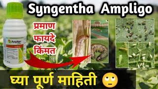 Syngenta Ampligo  आँम्प्लिगो किटकनाशक माहिती  Ampligo syngenta purn Mahiti [upl. by Akihsay]