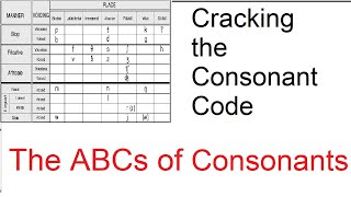 Where English Consonants Are Born A Journey Through the Mouth [upl. by Anile306]