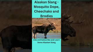 Mosquito Dope  Take This Quick Alaskan Slang Quiz shorts [upl. by Anera206]