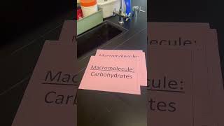 Macromolecule Organizer [upl. by Olin]