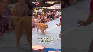 USA Gymnastics quotGoodest Boyquot shorts [upl. by Aylmar410]