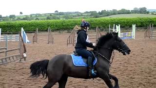 Laurelview Jump X 90cm Bonnie Shooting Star  June 11th 2017 [upl. by Avihs590]