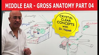 Middle Ear  Gross Anatomy  Part 49 [upl. by Naihtniroc]