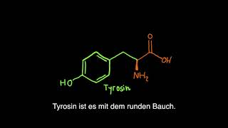 Aminosäuren Rap [upl. by Geilich]