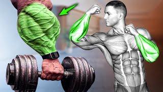 5 Exercises for Bigger Forearms Workout [upl. by Eyar]