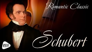 Romantic Classic  Franz Schubert [upl. by Aihtenak]