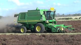 Vron Oaks Red Clover Seed Harvest Part 1 [upl. by Noonberg]