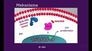 Mekanisme Kerja Obat Imatinib💊 [upl. by Wilson96]