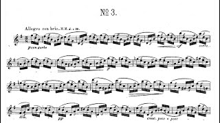 Joachim Andersen：24 Etudes op15 No3 G major アンデルセン：24の練習曲（エチュード）作品15 第3番 ト長調 [upl. by Ecined]