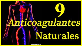 9 anticoagulantes naturales Combate coágulos sangre espesa trombos TVP etc [upl. by Nanice548]