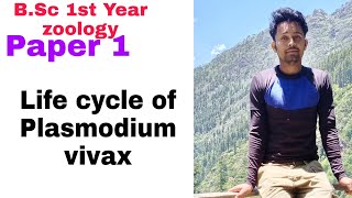 Life cycle of plasmodium vivax BSc first year zoology paper 1 [upl. by Rehpotsyrk]