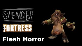 TF2  Slender Fortress  Flesh Horror [upl. by Leina]