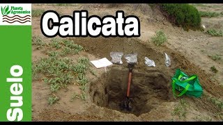 La CALICATA para 👩‍🔬 ESTUDIAR la relación ⛏️ SUELO planta aspectos básicos [upl. by Venuti504]