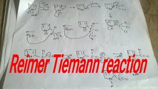 Reimer tiemann reaction mechanism heterocyclic [upl. by Ydnarb]