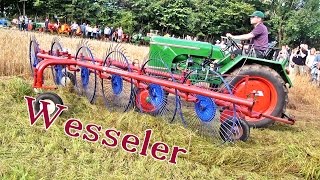 Traktor Special ✰ Wesseler ➤ Reporter  Historischer Feldtag Nordhorn [upl. by Lynnelle913]