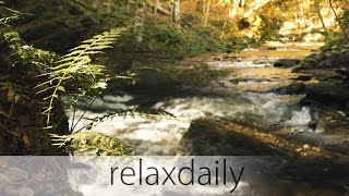 Music for Studying Concentration and Reading relaxing  relaxdaily N°099 [upl. by Lemuela]