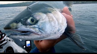 First Salmon Of 2024Kayaking fishing Puget Sound [upl. by Kumler465]