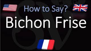 How to Pronounce Bichon Frisé CORRECTLY English French Dog Breed Pronunciation [upl. by Annodal]