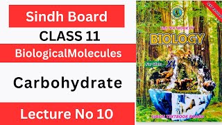 Carbohydrate Monosaccharide OligosaccharidesClass 11 Chp1 Biological Molecules  Sindh text board [upl. by Eirret]