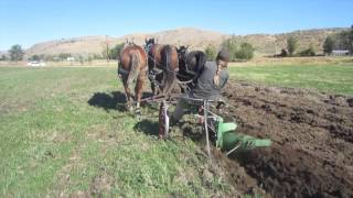 Plowing with Horses Three Abreast [upl. by Grani864]