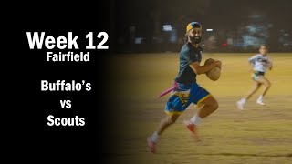 Buffalos vs SCOUTS  Fairfield Tuesday Oztag MIXED Div 1  Week 12 [upl. by Laenahtan883]