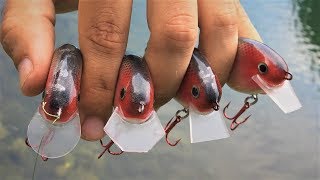 Testing Different CrankBait Lip Shapes [upl. by Yraht]