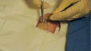 How to Suture with Dr Bones Dr Alton [upl. by Mialliw]