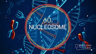 Genetics in 60 seconds Nucleosome [upl. by Nafis]