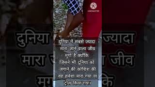 new sayari video sabse Marne jaane wala jeev miss you murga ke liye sayari youtubeshorts shorts [upl. by Roosnam]