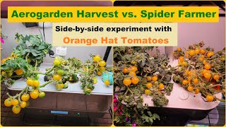 Spider Farmer vs Aerogarden Harvest Hydroponics System sidebyside with Orange Hat Tomatoes [upl. by Hairabez882]